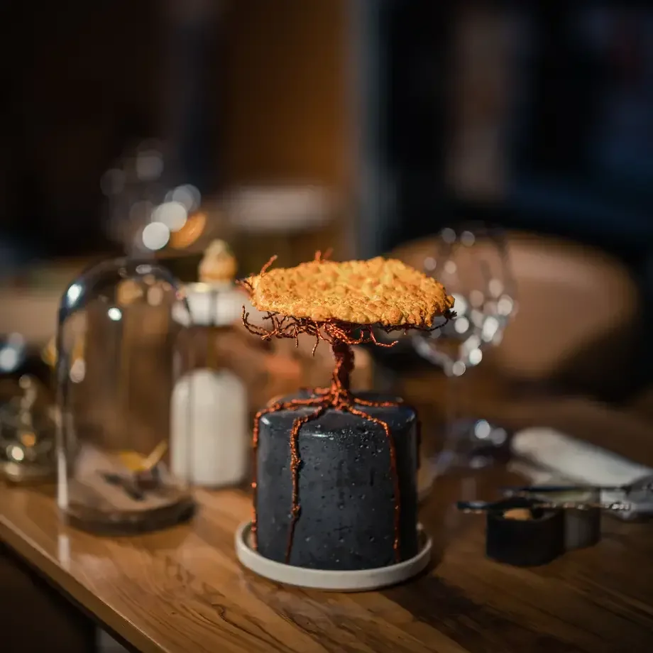 Elcielo Tree of Life