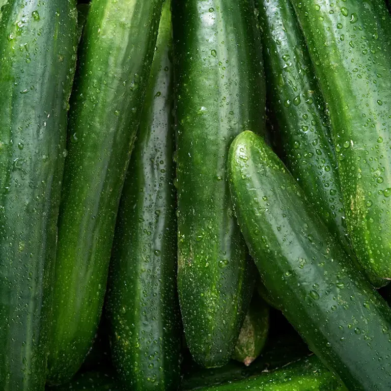 Whole cucumbers.